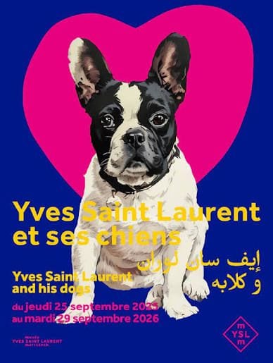 Yves Saint Laurent et ses chiens