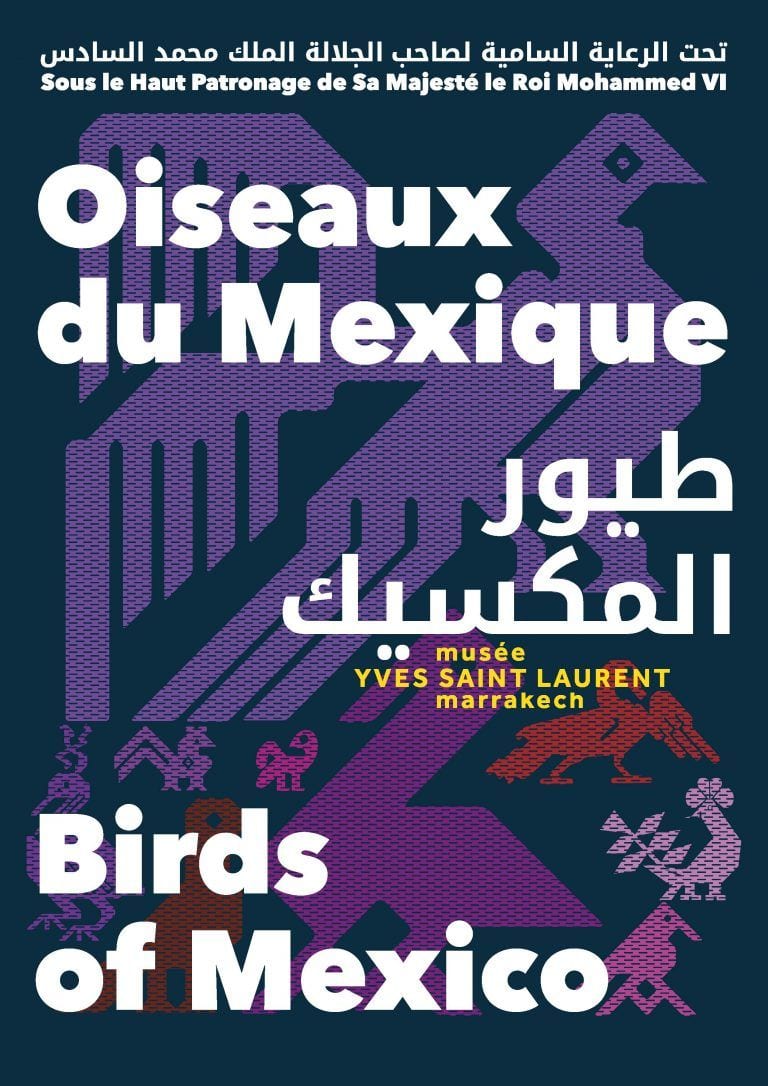 Oiseaux du Mexique