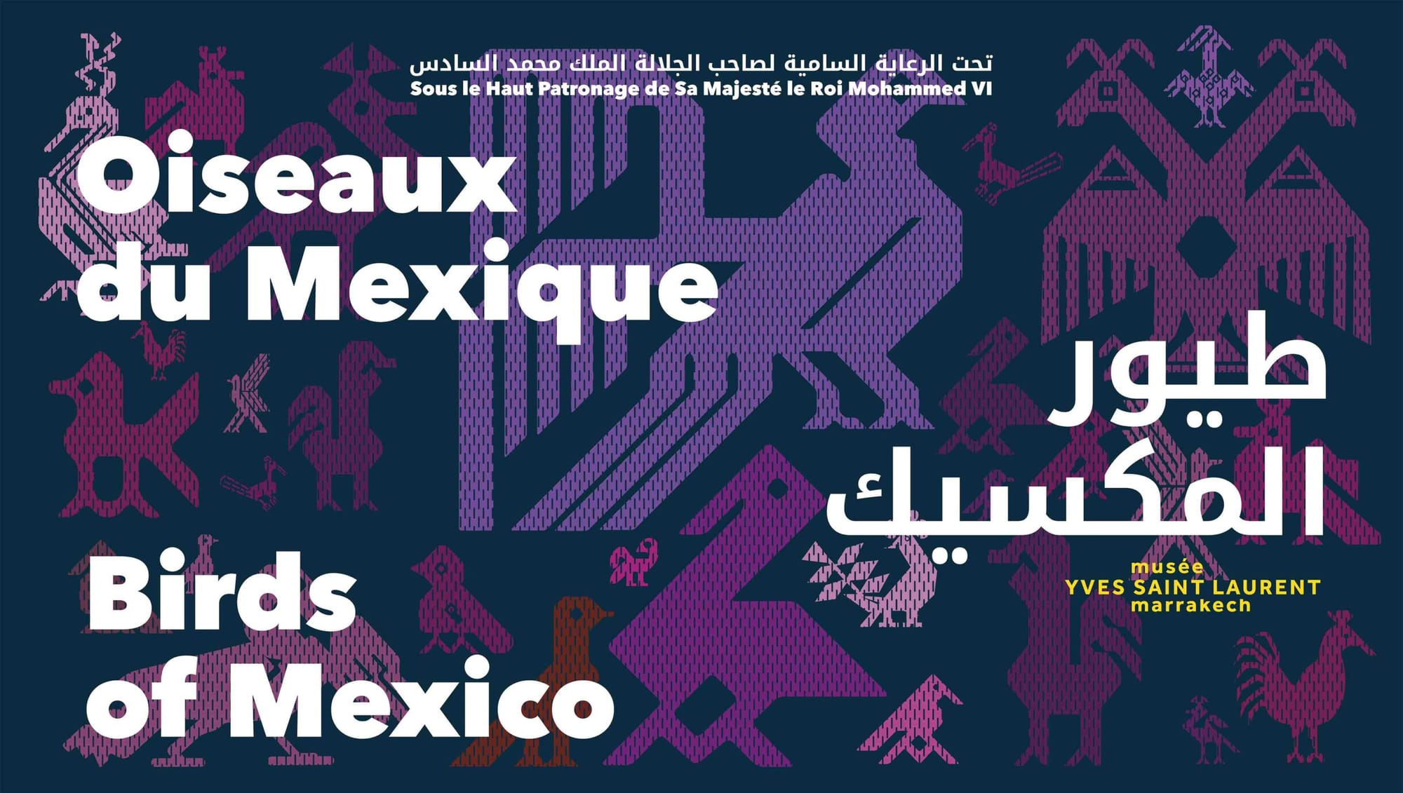 Birds of Mexico