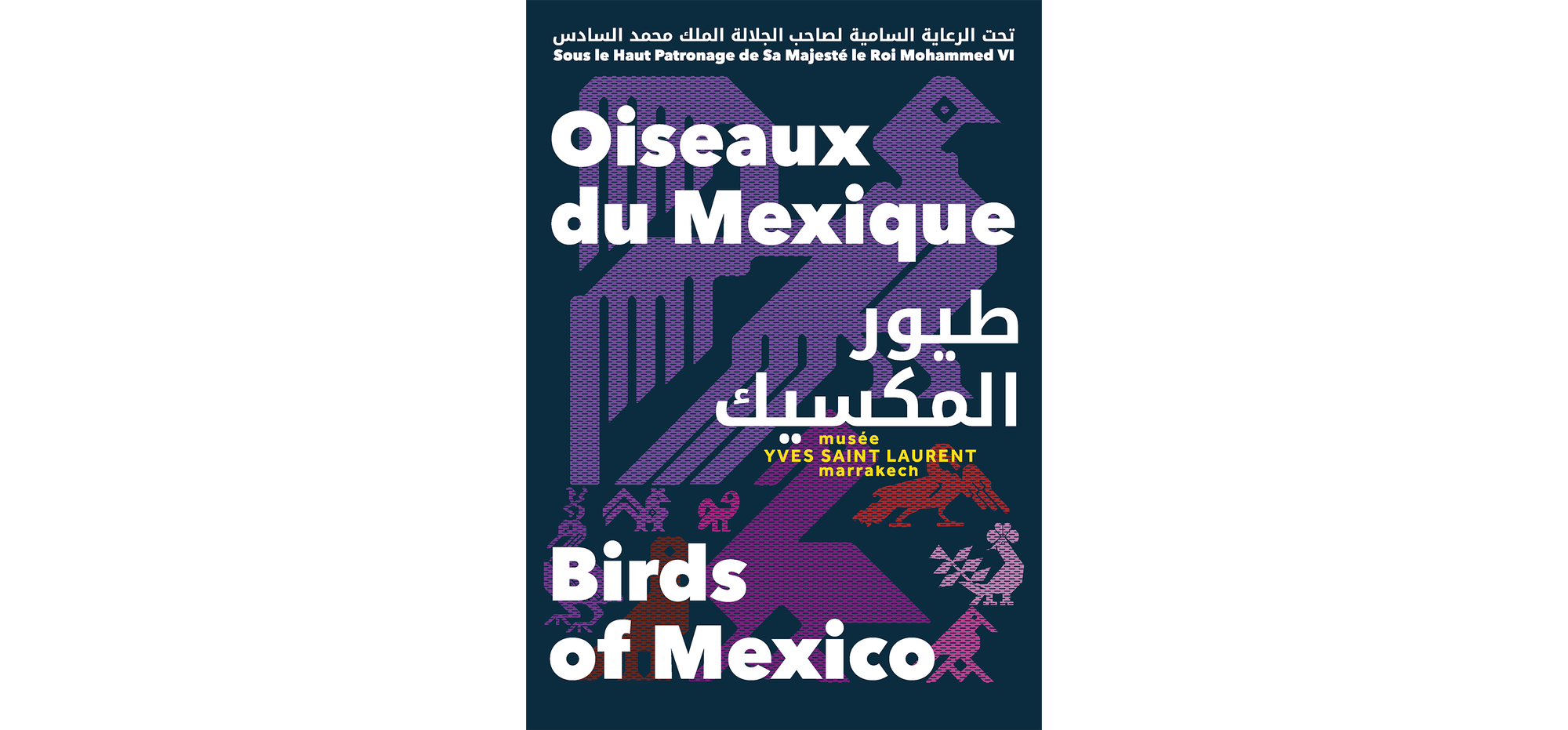 Press Kit - Oiseaux du Mexique - mYSLm